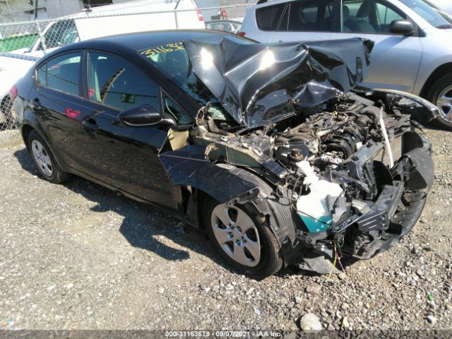 KIA FORTE 2014 knafk4a66e5185497