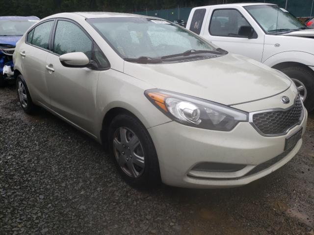 KIA FORTE LX 2014 knafk4a66e5190148