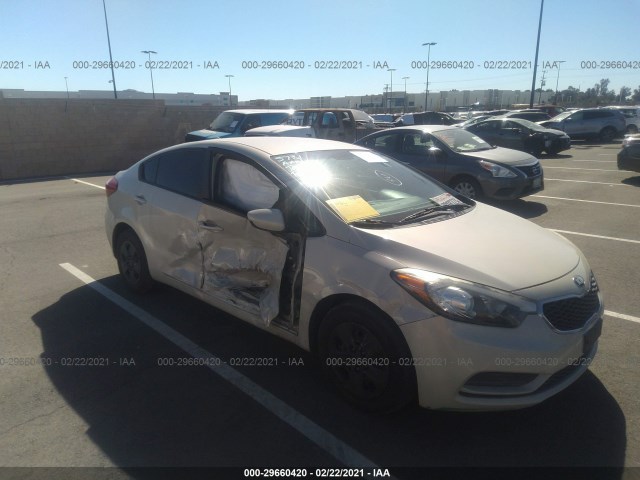 KIA FORTE 2014 knafk4a66e5214531