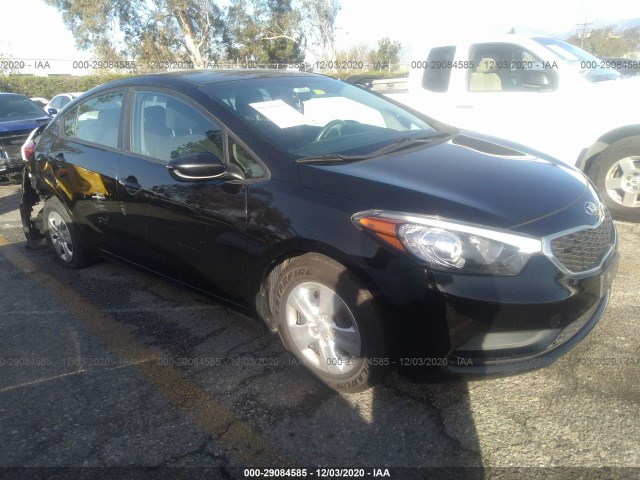 KIA FORTE 2014 knafk4a66e5218465