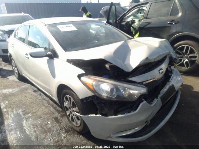 KIA FORTE 2015 knafk4a66f5259048