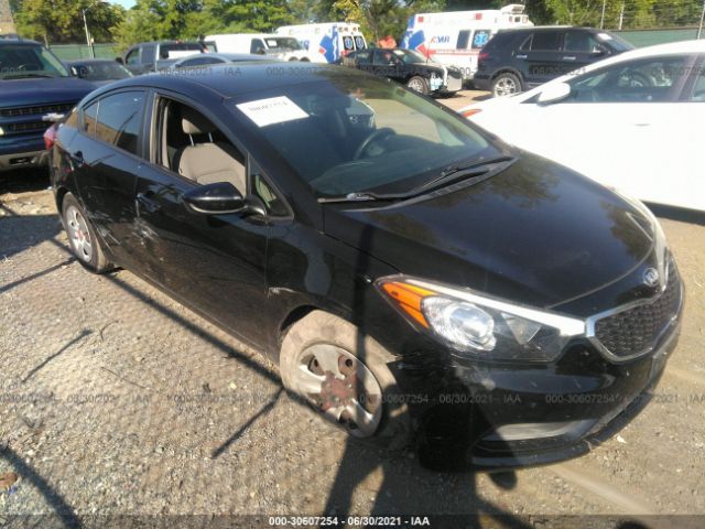 KIA FORTE 2015 knafk4a66f5260099