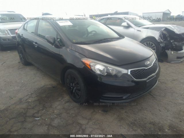 KIA FORTE 2015 knafk4a66f5295354