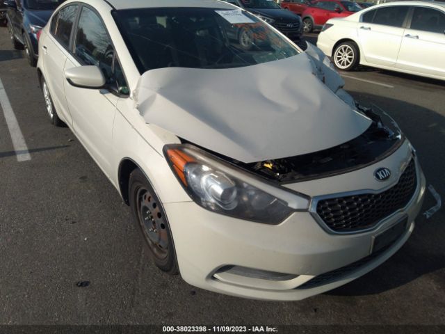 KIA FORTE 2015 knafk4a66f5332256