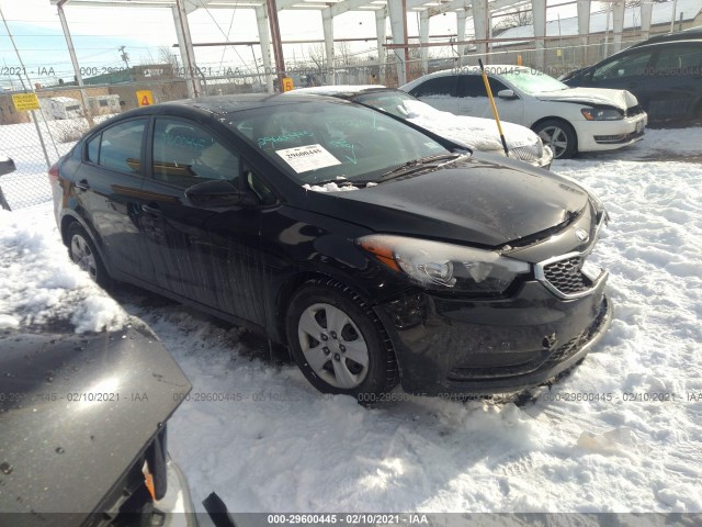 KIA FORTE 2015 knafk4a66f5417565