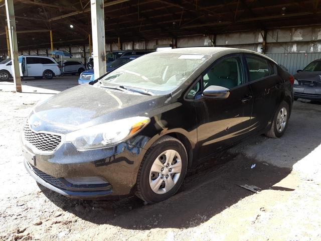 KIA FORTE 2015 knafk4a66f5425245