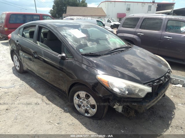 KIA FORTE 2015 knafk4a66f5432115