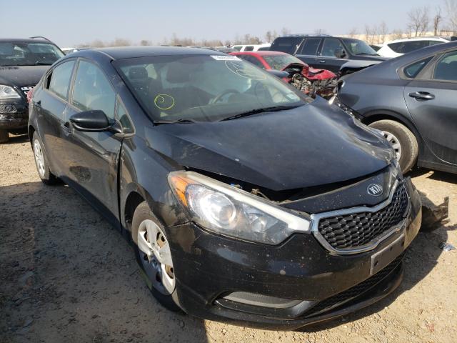 KIA FORTE 2015 knafk4a66f5436052