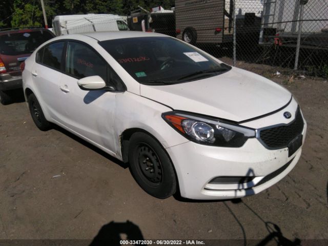 KIA FORTE 2014 knafk4a67e5072948