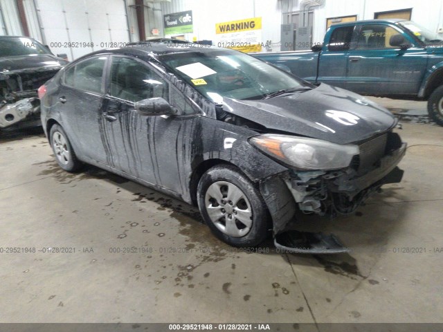 KIA FORTE 2014 knafk4a67e5090558