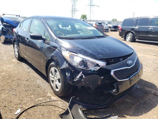 KIA FORTE LX 2014 knafk4a67e5090561