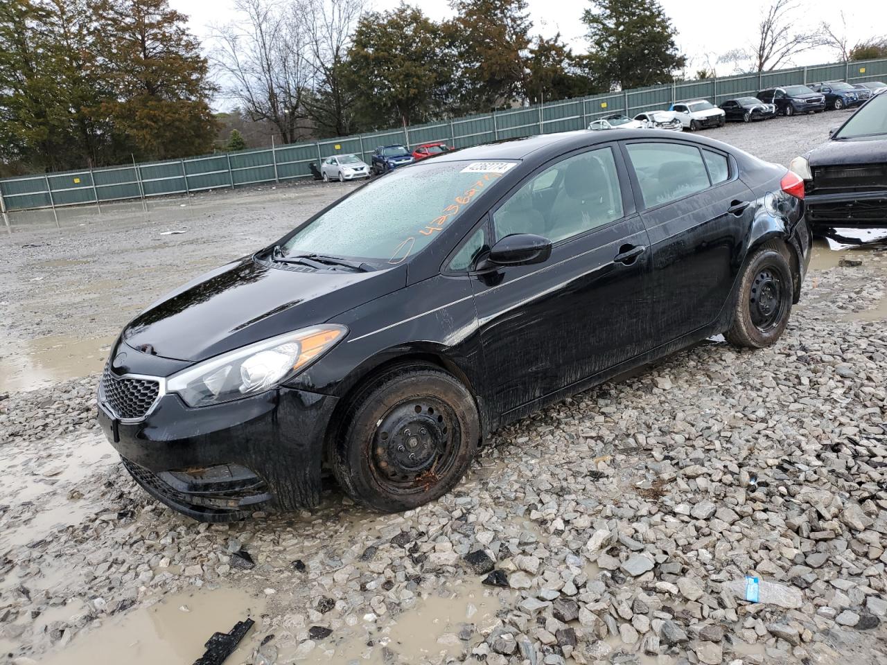 KIA FORTE 2014 knafk4a67e5160608