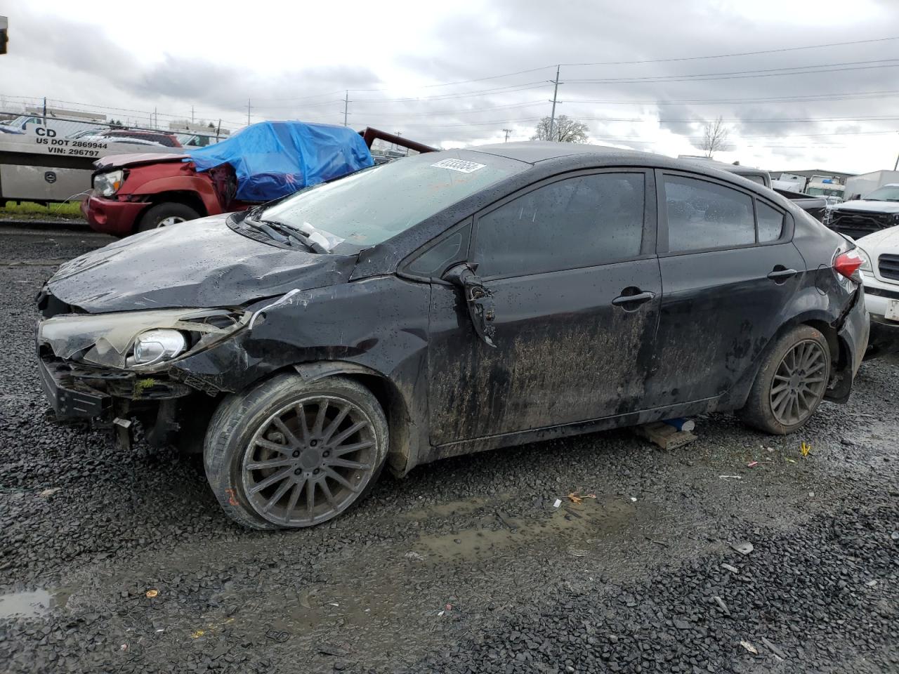 KIA FORTE 2014 knafk4a67e5181054