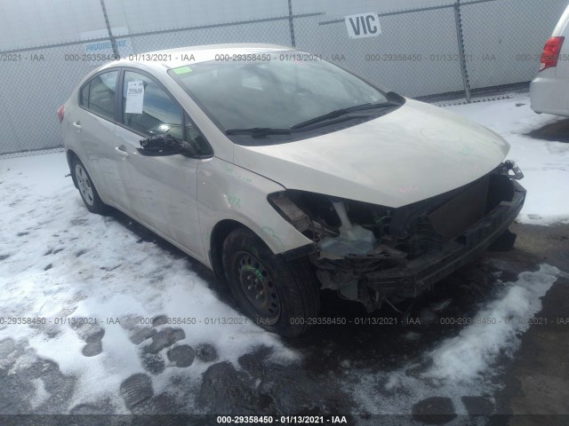 KIA FORTE 2014 knafk4a67e5189235