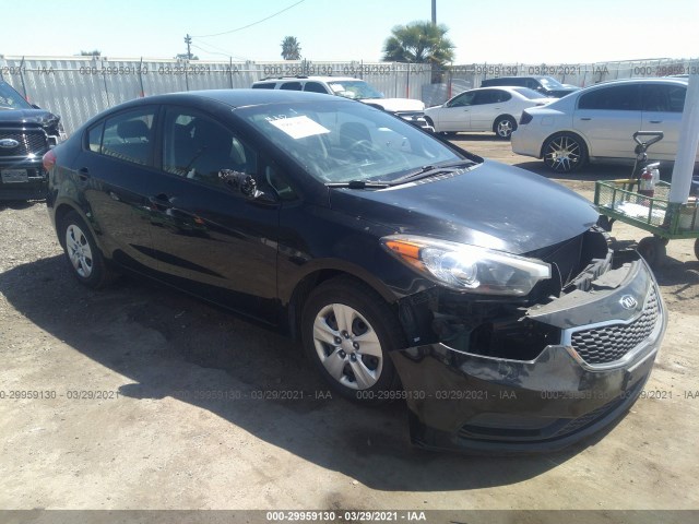 KIA FORTE 2014 knafk4a67e5243374