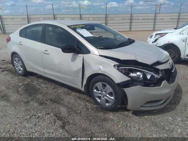 KIA FORTE 2014 knafk4a67e5244380