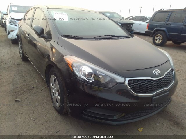 KIA FORTE 2014 knafk4a67e5248445