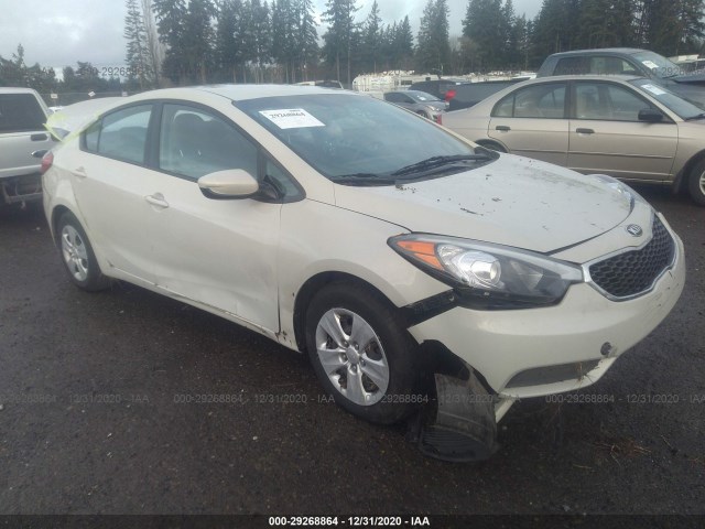 KIA FORTE 2015 knafk4a67f5339068