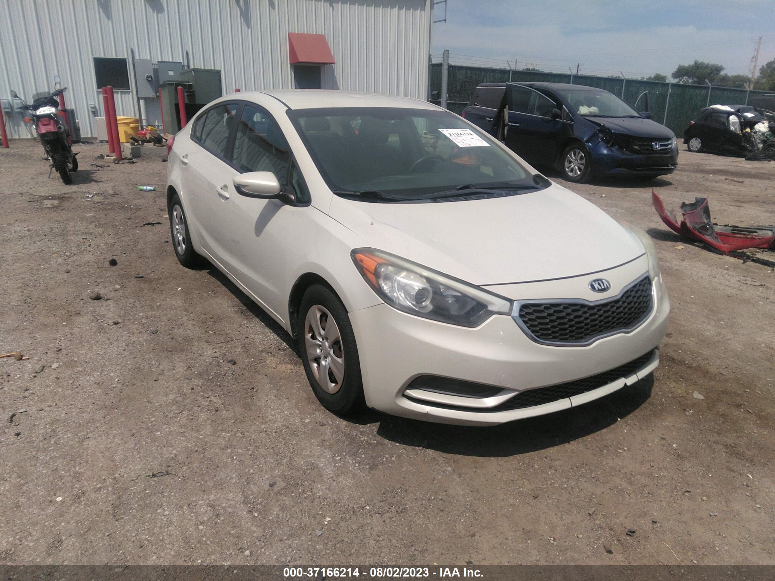 KIA FORTE 2015 knafk4a67f5372538