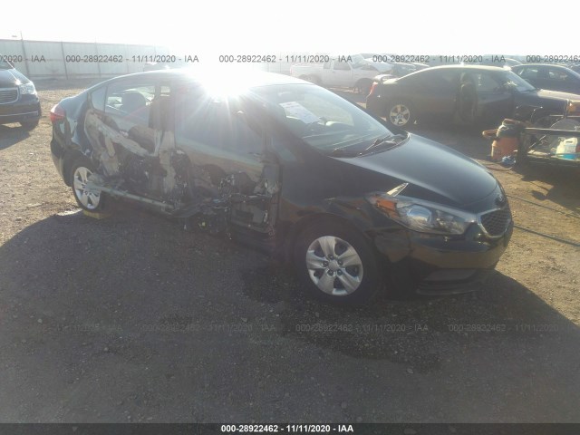 KIA FORTE 2015 knafk4a67f5406607