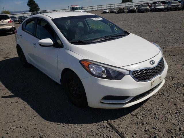 KIA FORTE 2016 knafk4a67g5510161