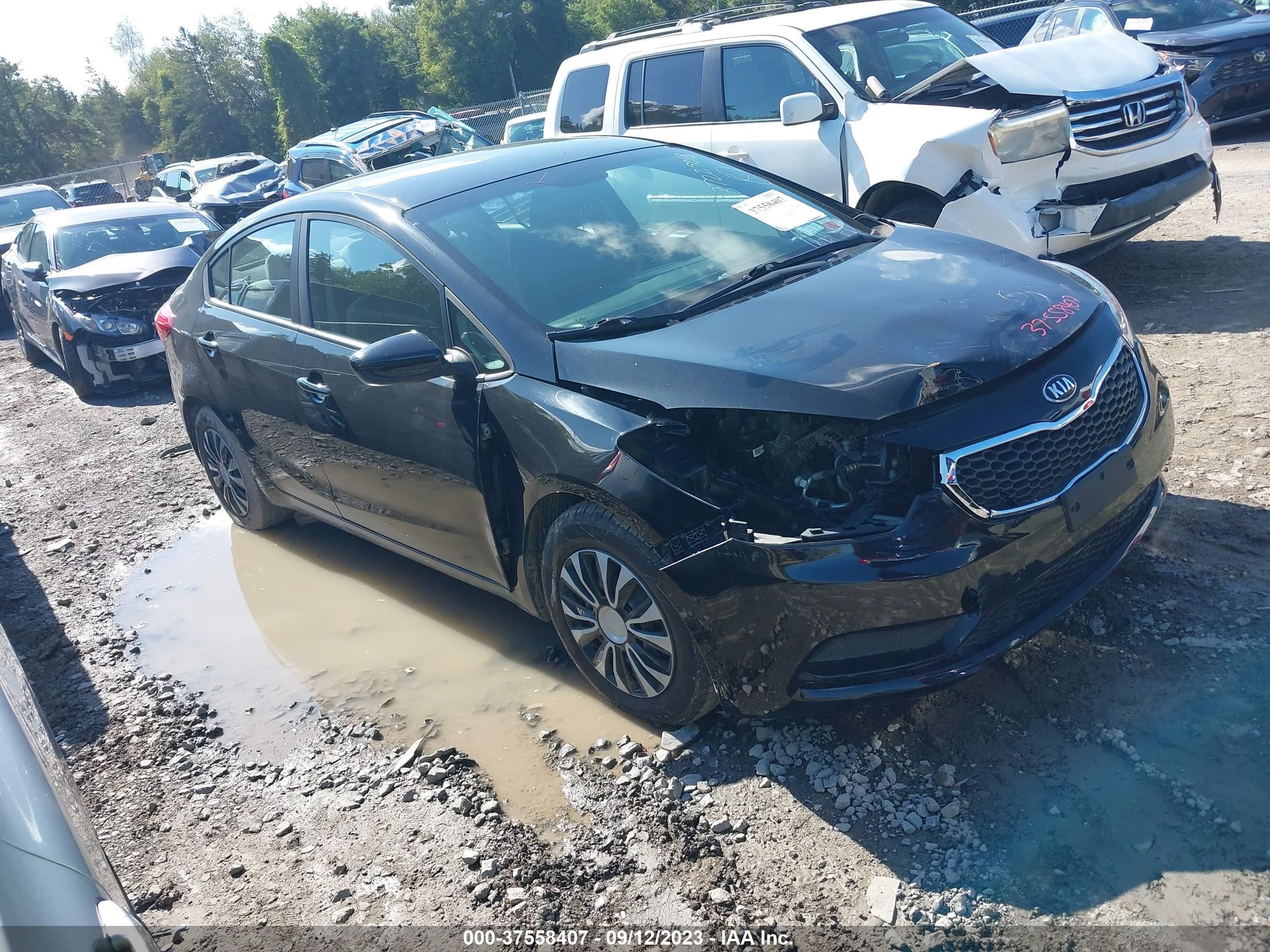 KIA FORTE 2016 knafk4a67g5521001