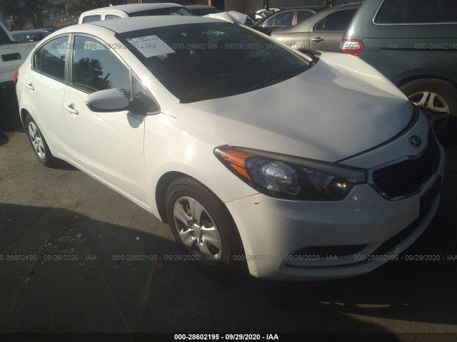 KIA FORTE 2016 knafk4a67g5549073