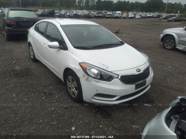 KIA FORTE 2014 knafk4a68e5086597