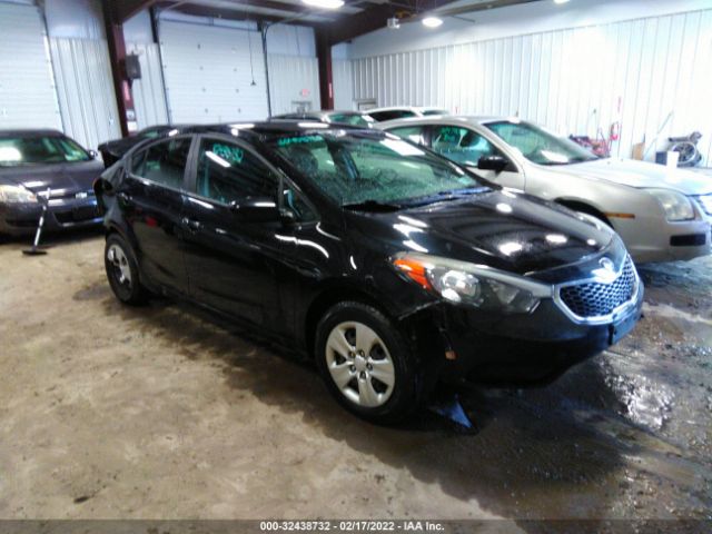 KIA FORTE 2014 knafk4a68e5181189