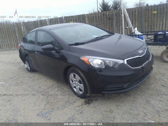 KIA FORTE 2014 knafk4a68e5187249