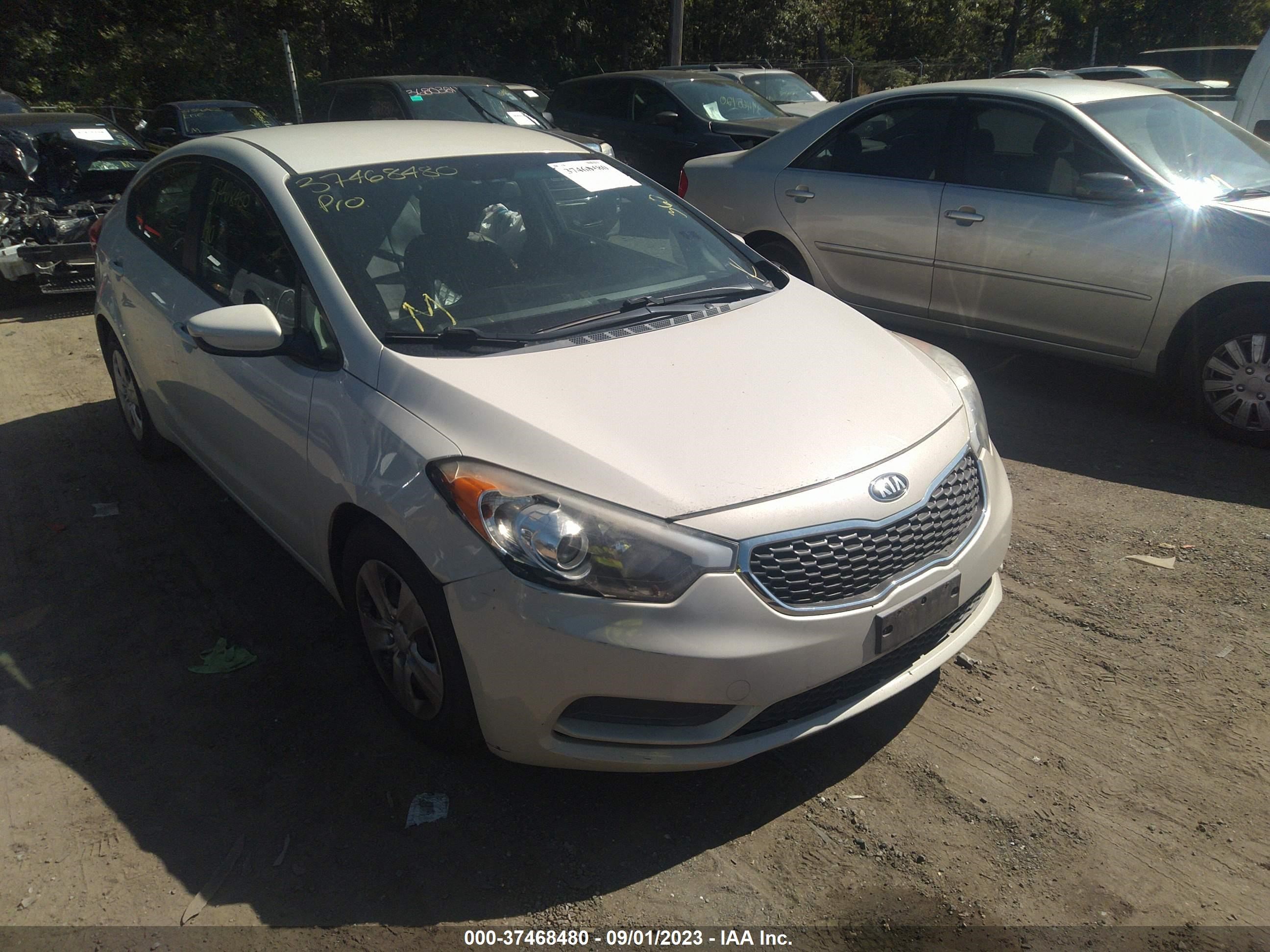 KIA FORTE 2015 knafk4a68f5332212