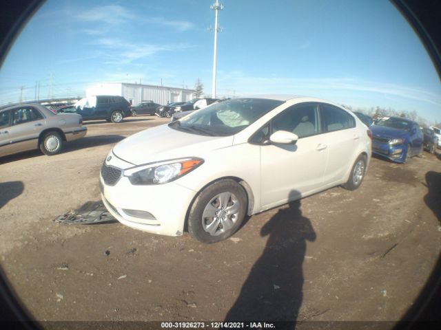 KIA FORTE 2015 knafk4a68f5420824