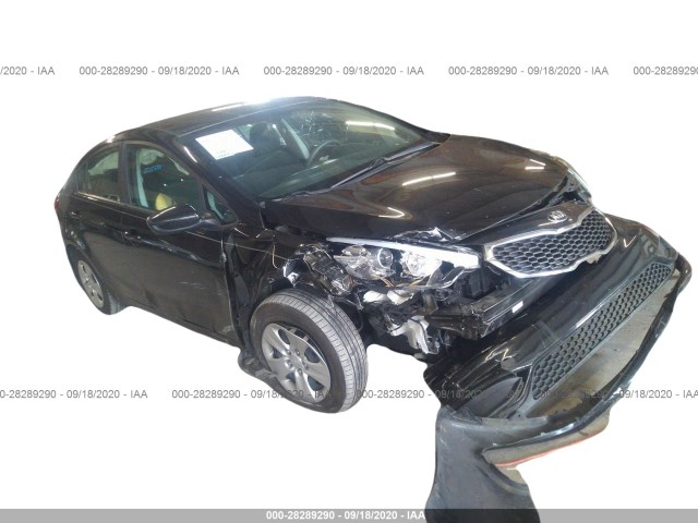 KIA FORTE 2016 knafk4a68g5601911