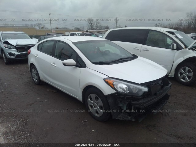 KIA FORTE 2014 knafk4a69e5064592