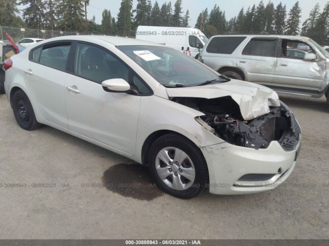 KIA FORTE 2014 knafk4a69e5087905