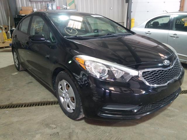 KIA FORTE LX 2014 knafk4a69e5090464