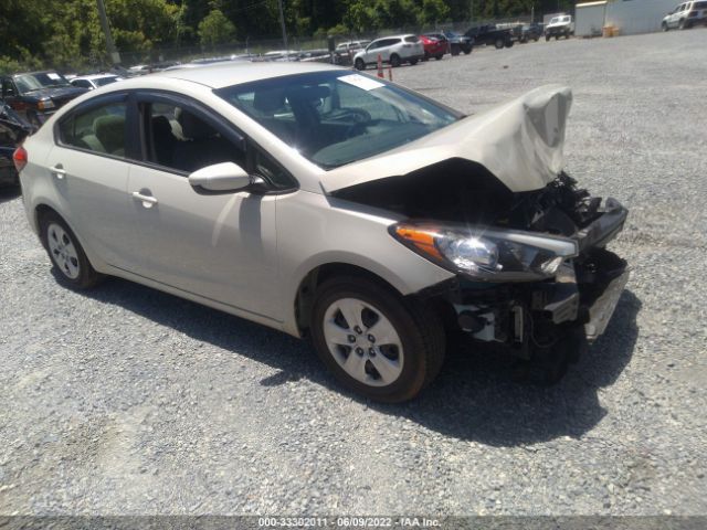 KIA FORTE 2014 knafk4a69e5091873