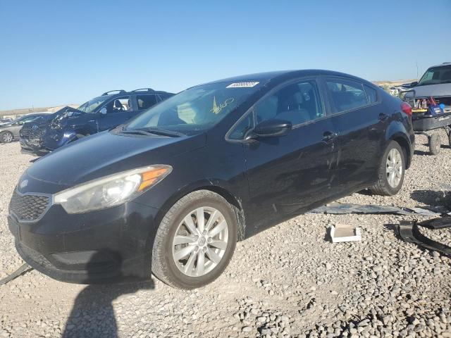 KIA FORTE LX 2014 knafk4a69e5124578