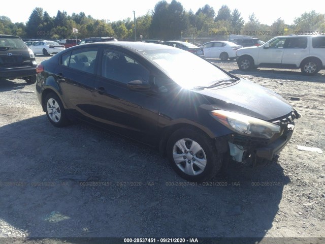 KIA FORTE 2014 knafk4a69e5135287