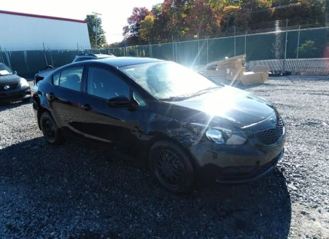 KIA FORTE 2014 knafk4a69e5146886