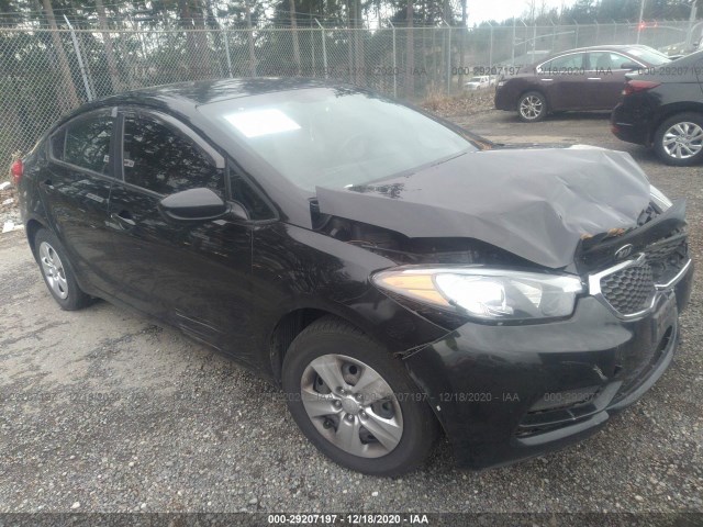 KIA FORTE 2014 knafk4a69e5208061