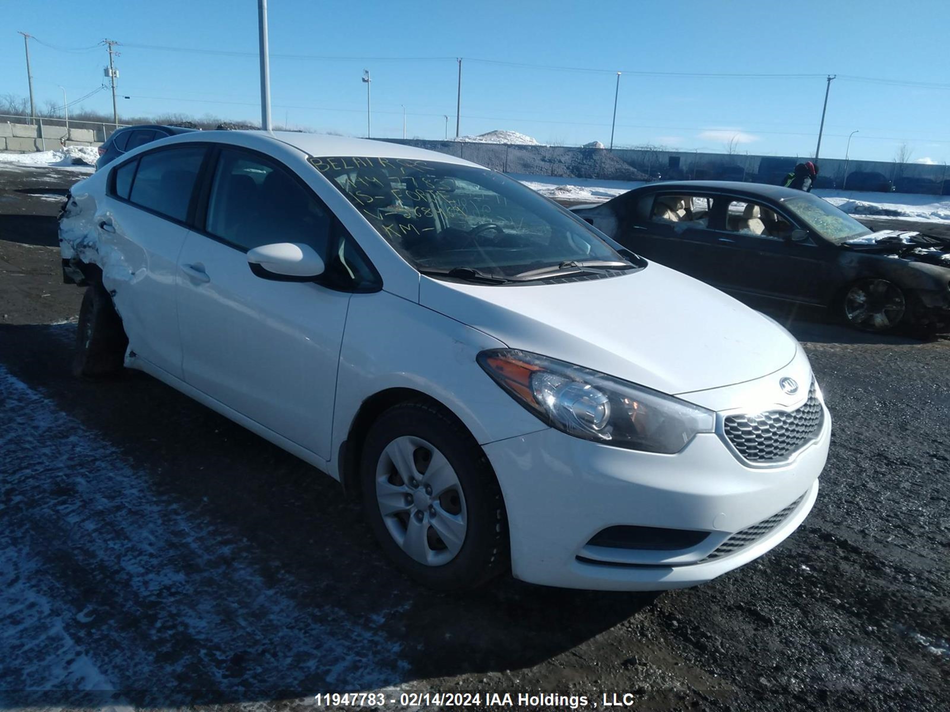 KIA FORTE 2015 knafk4a69f5268469