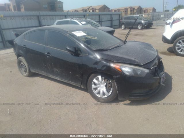 KIA FORTE 2015 knafk4a69f5371830