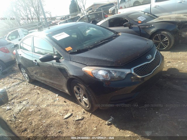 KIA FORTE 2015 knafk4a69f5371911