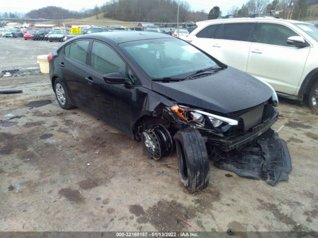 KIA FORTE 2015 knafk4a69f5394167