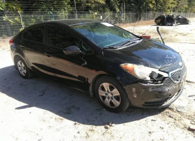 KIA FORTE 2015 knafk4a69f5408925