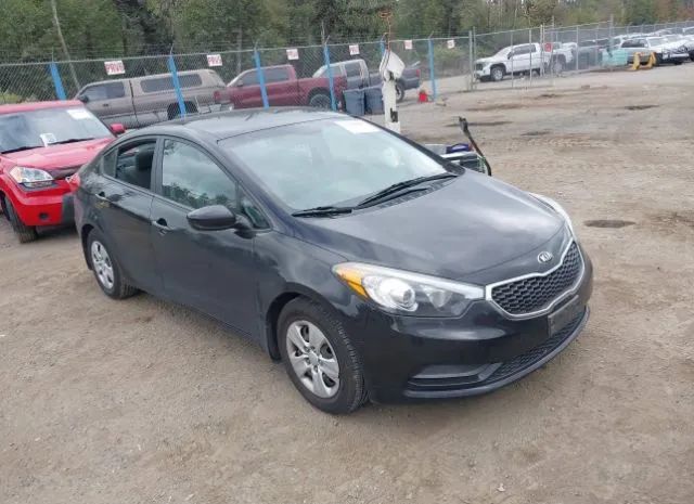 KIA FORTE 2015 knafk4a69f5415793