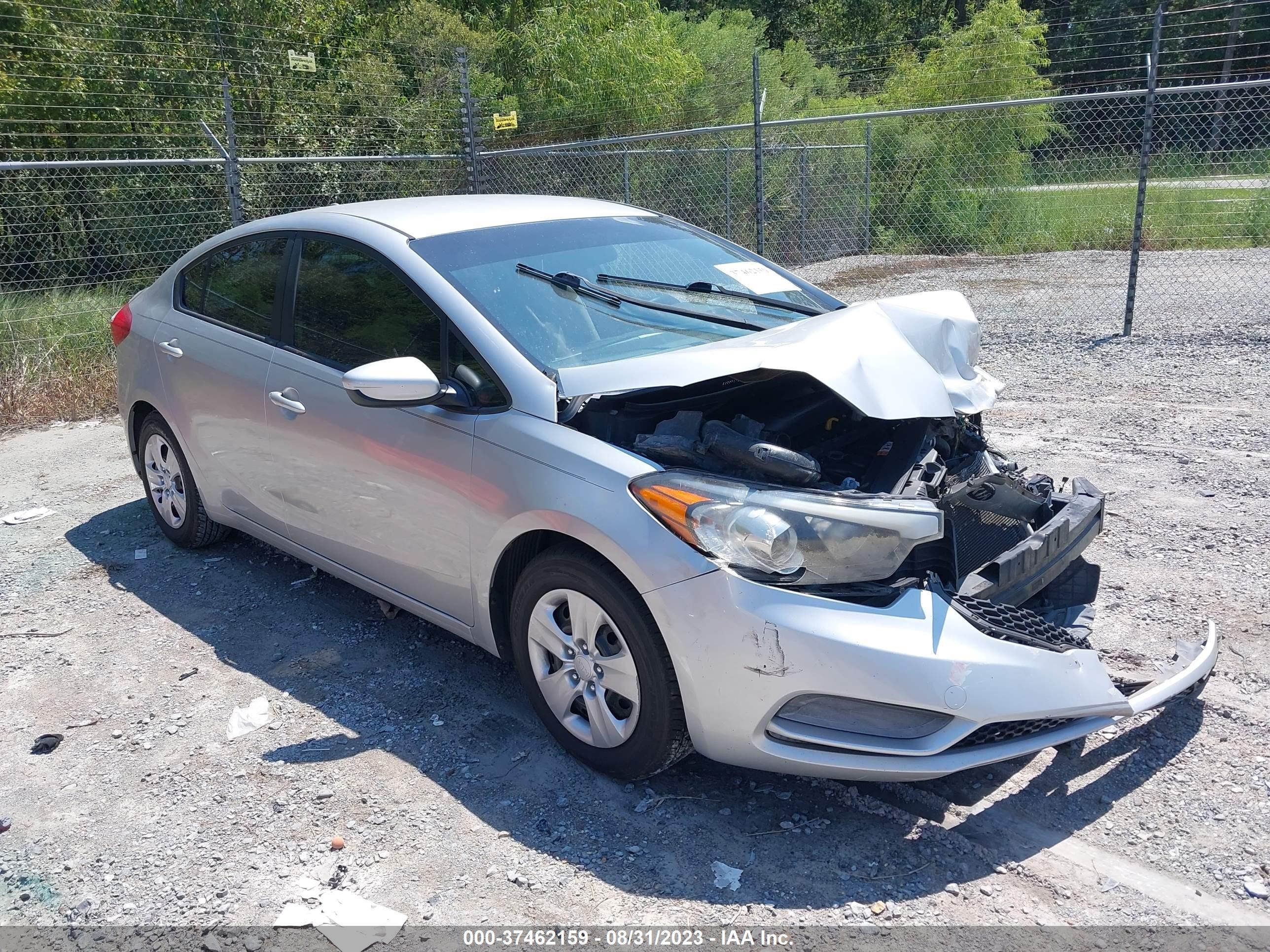 KIA FORTE 2015 knafk4a69f5428821