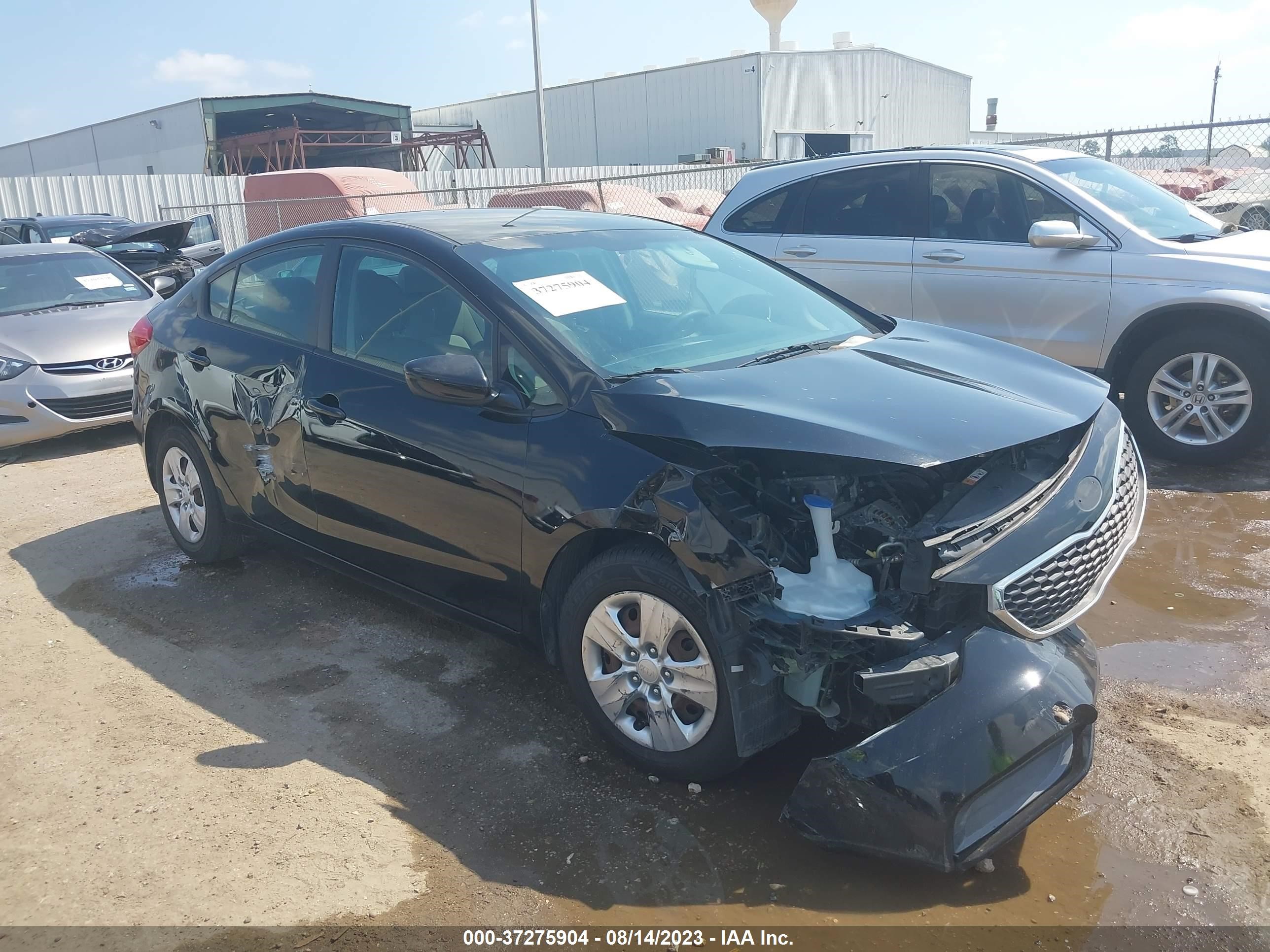 KIA FORTE 2015 knafk4a69f5437132