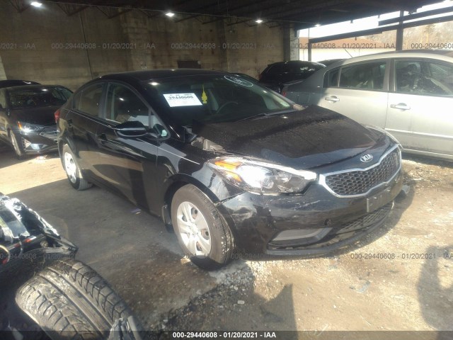 KIA FORTE 2016 knafk4a69g5493539